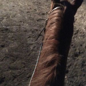 Meet your Posher, Christina